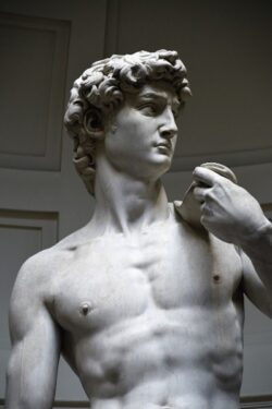 Künstler der Renaissance, Michelangelo Buonarotti, David
